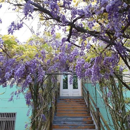 Youlin Homestay Meishan Εξωτερικό φωτογραφία