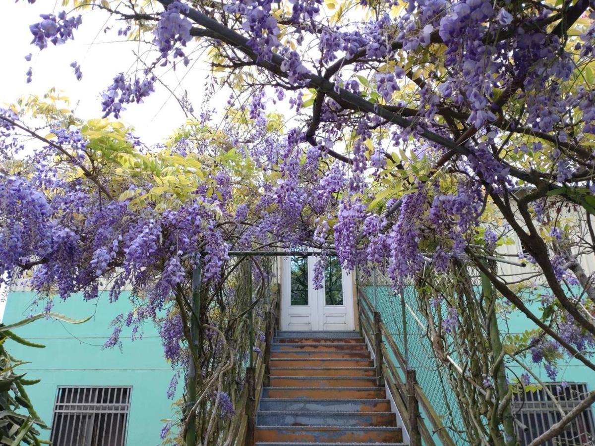 Youlin Homestay Meishan Εξωτερικό φωτογραφία